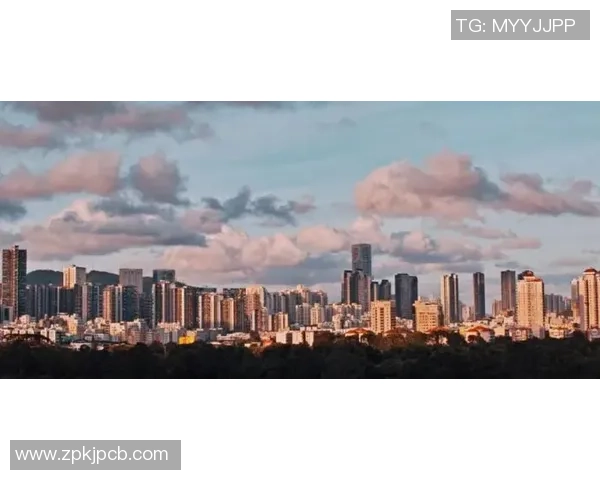 利雅得新月：探索中东地区新兴经济与文化合作的未来之路